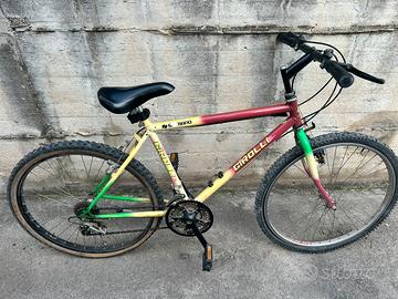 Mountain bike