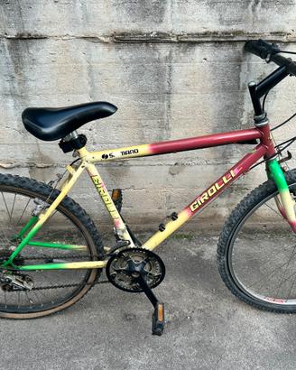 Mountain bike