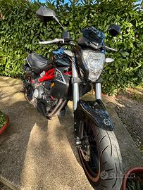 Benelli bn 302