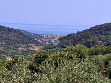CASA SEMINDIPENDENTE A DIANO ARENTINO