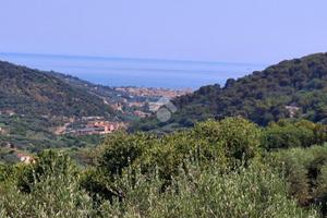 CASA SEMINDIPENDENTE A DIANO ARENTINO