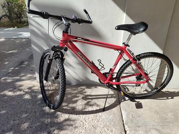 Bicicletta  Mountain bike Adulto/ragazzo