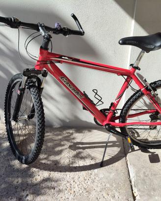 Bicicletta  Mountain bike Adulto/ragazzo