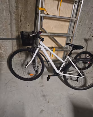  Mountain Bike / City Bike donne con cestino