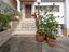 Immagine 16