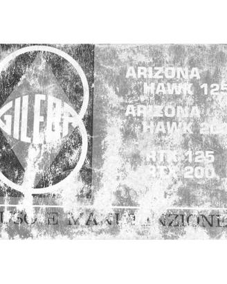 Libretto in PDF uso e manutenzione Gilera Arizona 