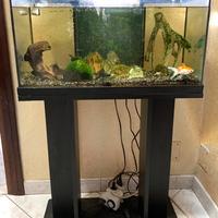 Acquario 60 litri