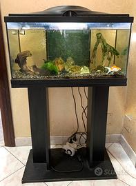 Acquario 60 litri
