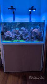 acquario marino