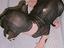 Immagine 1