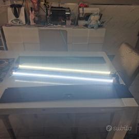 led rio 180