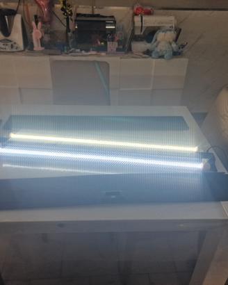 led rio 180