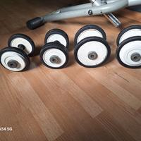 coppie si pesi 6-8-10-12 kg