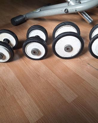 coppie si pesi 6-8-10-12 kg