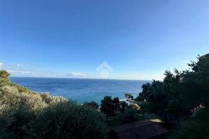 TER. AGRICOLO A FINALE LIGURE