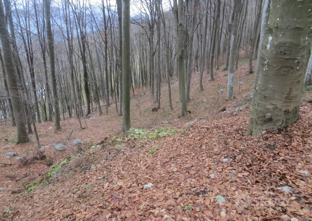 Immobile in asta di 19906 m² a Costa Valle Imagna - Vista 2