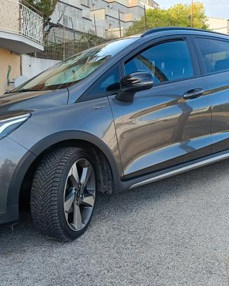 fiesta active