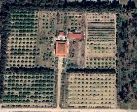 Villa su lotto di 5.500 mq