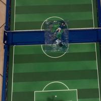 subbuteo