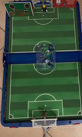 subbuteo