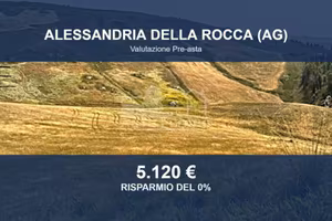 Immobile in asta di 26740 m² a Alessandria della R