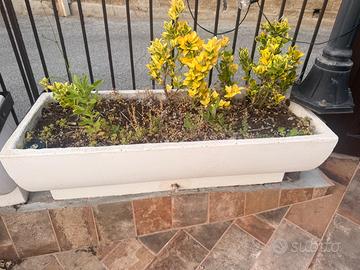 11 Vasi da giardino (con piante se desiderate)