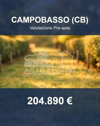 Immobile in asta di 10000 m² a Campobasso