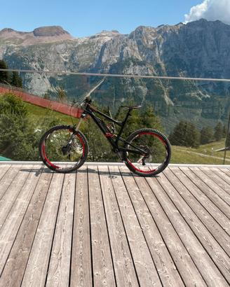 bici mtb enduro downhill