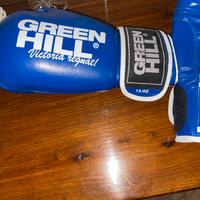 Guanti boxe green hill Lion 12oz