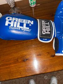 Guanti boxe green hill Lion 12oz