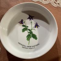 Coppetta edizione limitata