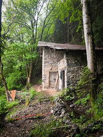 Rifugio in pietra immerso nel bosco