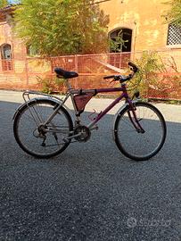 bici city bike in alluminio