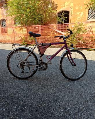 bici city bike in alluminio