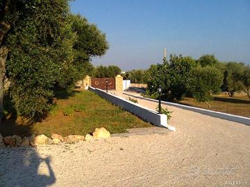 PAJARA SALENTINA-TRULLO a Pescoluse