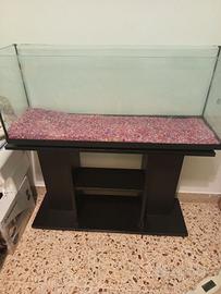 Acquario