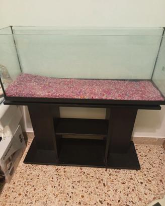 Acquario