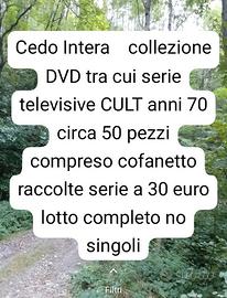 DVD collezione 