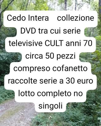 DVD collezione 