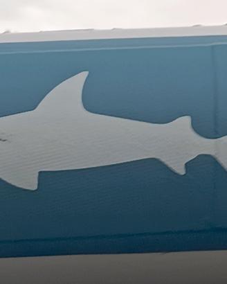 tavola gonfiabile sup 