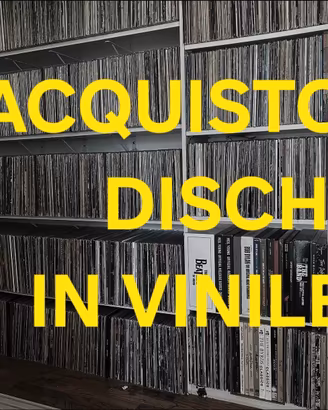 DISCHI IN VINILE