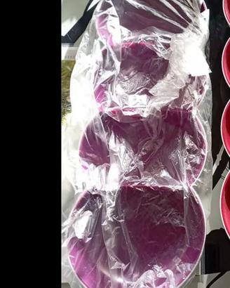 Tupperware antipastiera Allegra