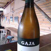 Gaja Gaia & Rey 2019