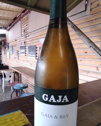 Gaja Gaia & Rey 2019