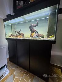 Acquario Juwel Rio 240 originale completo
