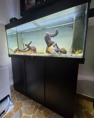 Acquario Juwel Rio 240 originale completo