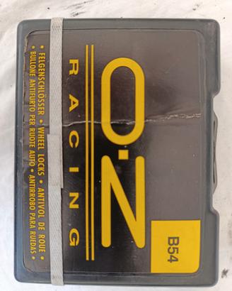 Bulloni antifurto ruote auto 