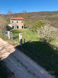Casolare nel verde