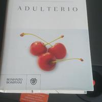 Libro Paulo Coelho