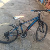 bicicletta marca Lombardo misura 24